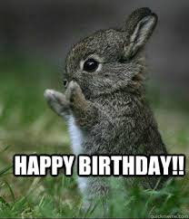 bunny happy birthday.jpg