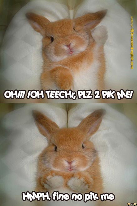 funny bunny picture 2.jpg