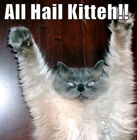 hail the cat!.jpg