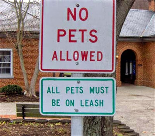 no pets allowed.jpg