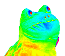 rainbowfrog.gif