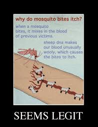 why mosquitos bite.jpg