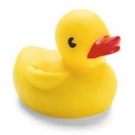 Ducky