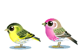animated-bird-image-0598.gif